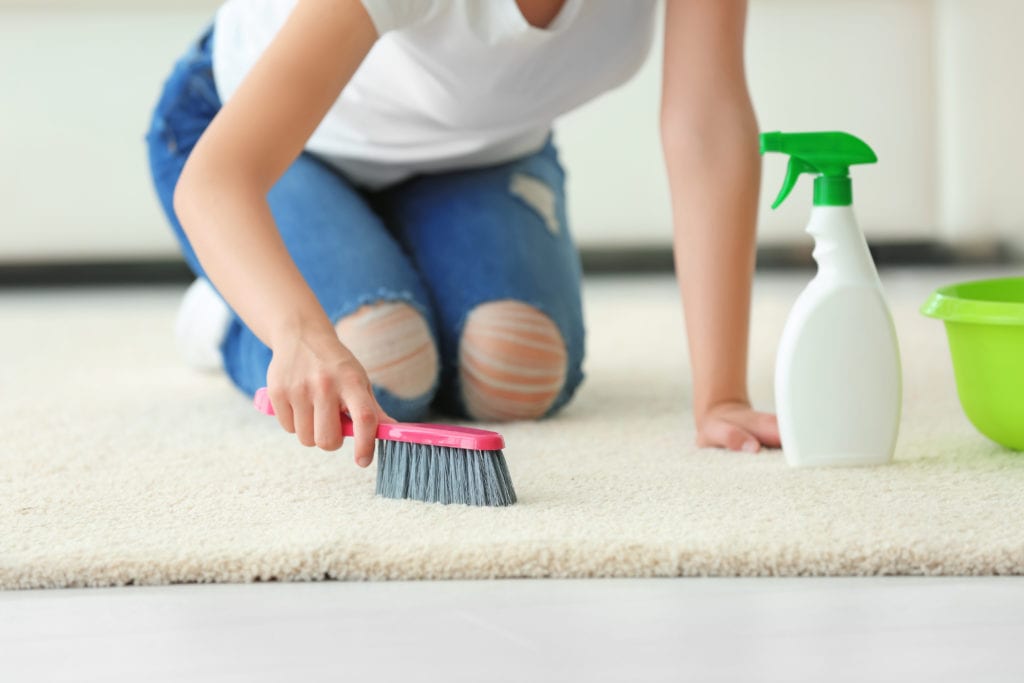 Carpet Cleaning